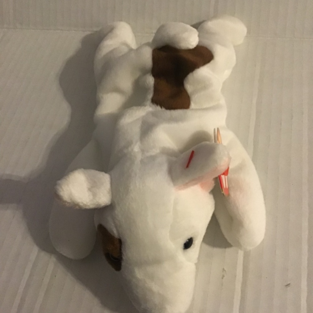 Ty - Picture 7 of 9